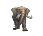Elephant - Alicia Online 2.0