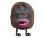 Monkey - Funny Monkey Stinky Challenge Game