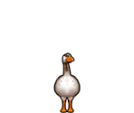 Goose - Delicious - Emily's Holiday Season