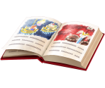 Journal - Scrapbook and Other Activities Parts - Super Mario RPG