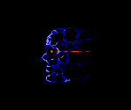 Skynet Core - Robocop vs. The Terminator