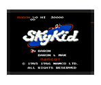 SkyKid (Manual) - Virtual Console