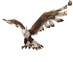 Eagle - Alicia Online 2.0