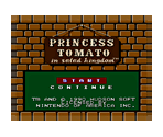 Princess Tomato in the Salad Kingdom (Manual) - Virtual Console