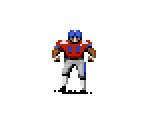 Denver - John Madden Football