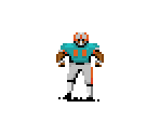 Miami - John Madden Football