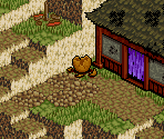 Iga - Onimusha Tactics