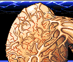 Final Boss - Farland Story: Daichi no Kizuna