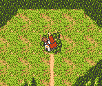 Stage 14: Pony - Farland Story: Daichi no Kizuna