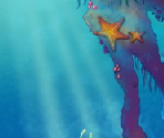 Star Fish - Feeding Frenzy