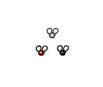 Black Fly / Attack Fly / Eternal Fly - The Binding of Isaac