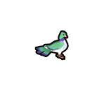 Blue Pigeon - Delicious - Emily's True Love