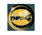 Memory Card Data - Tony Hawk's Pro Skater 4