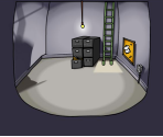 Boiler Room - Penguin Chat
