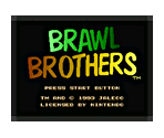 Brawl Brothers - Virtual Console