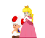 Toad & Peach (NSMBU) - Super Mario Maker for Nintendo 3DS