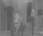 Transition Images - Shark Tale