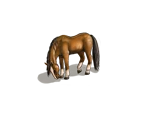 Horses - 12 Labours of Hercules II: The Cretan Bull