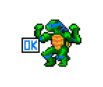 Leonardo, Raphael, Michelangelo and Donatello - Teenage Mutant Ninja Turtles (USA)