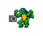 Leonardo, Raphael, Michelangelo and Donatello - Teenage Mutant Hero Turtles