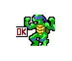 Leonardo, Raphael, Michelangelo and Donatello - Teenage Mutant Ninja Turtles / Hero Turtles