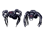 Level 04-05: Giant Spider - Eye of the Beholder