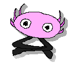Minis - KinitoPET