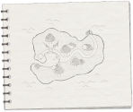 Lake Juliet Notebook - Island - Another Code: Recollection