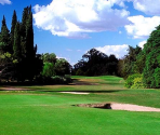 Options - Swingerz Golf / Ace Golf