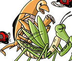 #0429 - South Bird and Forest Residents - One Piece: Treasure Cruise