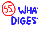 Question 055 - The Impossible Quiz