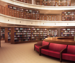 School Library - Fatal Twelve