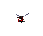 Wasp - CyClones