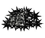 Decorations - CyClones