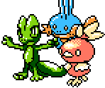 Pokémon - Pokémon Diamond (Bootleg)