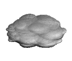 Disaster Cloud - The Sims
