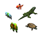 Small Pets - The Sims