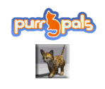 Save Banner & Icon - Purr Pals