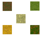 Ground - Zoo Tycoon 2 DS