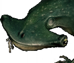 Frogs - Garage: Bad Dream Adventure