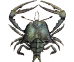Crabs - Garage: Bad Dream Adventure