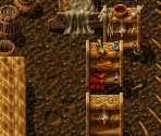 132 Winion - Albion (1995)
