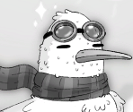 Seagull - Toem: A Photo Adventure