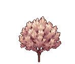 Crops and Trees - Travellers Rest
