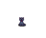 Black Cat - Travellers Rest