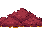 Fall Foliage - Travellers Rest