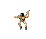 Barbarian - Black Tiger