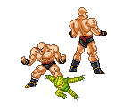 Nappa - Dragon Ball Z: The Legend