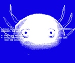 Blue Screen of Death - KinitoPET
