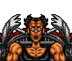 ZZ / Wheel of Fortune - JoJo's Bizarre Adventure (JPN)